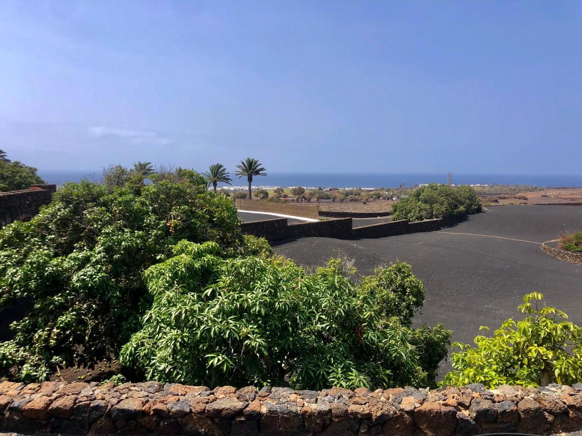 Villa Luciano "Spirit Of The Canaries" Tías Exteriér fotografie